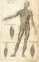 An illustration from A new and complete dictionary of arts and sciences : comprehending all the branches of useful knowledge, with accurate descriptions as well of the various machines, instruments, tools, figures, and schemes necessary for illustrating them, as of the classes, kinds, preparations, and uses of natural productions, whether animals, vegetables, minerals, fossils, or fluids : together with the kingdoms, provinces, cities, towns, and other remarkable places throughout the world : illustrated with above three hundred copper-plates, engraved by Mr. Jefferys, geographer to His Majesty : the whole extracted from the best authors in all languages (1763)