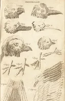 An illustration from A new and complete dictionary of arts and sciences : comprehending all the branches of useful knowledge, with accurate descriptions as well of the various machines, instruments, tools, figures, and schemes necessary for illustrating them, as of the classes, kinds, preparations, and uses of natural productions, whether animals, vegetables, minerals, fossils, or fluids : together with the kingdoms, provinces, cities, towns, and other remarkable places throughout the world : illustrated with above three hundred copper-plates, engraved by Mr. Jefferys, geographer to His Majesty : the whole extracted from the best authors in all languages (1763)