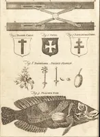 Picture 69 of 115 from A new and complete dictionary of arts and sciences : comprehending all the branches of useful knowledge, with accurate descriptions as well of the various machines, instruments, tools, figures, and schemes necessary for illustrating them, as of the classes, kinds, preparations, and uses of natural productions, whether animals, vegetables, minerals, fossils, or fluids : together with the kingdoms, provinces, cities, towns, and other remarkable places throughout the world : illustrated with above three hundred copper-plates, engraved by Mr. Jefferys, geographer to His Majesty : the whole extracted from the best authors in all languages (1763), leaf 585