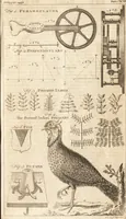 Picture 73 of 115 from A new and complete dictionary of arts and sciences : comprehending all the branches of useful knowledge, with accurate descriptions as well of the various machines, instruments, tools, figures, and schemes necessary for illustrating them, as of the classes, kinds, preparations, and uses of natural productions, whether animals, vegetables, minerals, fossils, or fluids : together with the kingdoms, provinces, cities, towns, and other remarkable places throughout the world : illustrated with above three hundred copper-plates, engraved by Mr. Jefferys, geographer to His Majesty : the whole extracted from the best authors in all languages (1763), leaf 648