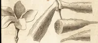 An illustration from A new and complete dictionary of arts and sciences : comprehending all the branches of useful knowledge, with accurate descriptions as well of the various machines, instruments, tools, figures, and schemes necessary for illustrating them, as of the classes, kinds, preparations, and uses of natural productions, whether animals, vegetables, minerals, fossils, or fluids : together with the kingdoms, provinces, cities, towns, and other remarkable places throughout the world : illustrated with above three hundred copper-plates, engraved by Mr. Jefferys, geographer to His Majesty : the whole extracted from the best authors in all languages (1763)