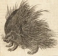 An illustration from A new and complete dictionary of arts and sciences : comprehending all the branches of useful knowledge, with accurate descriptions as well of the various machines, instruments, tools, figures, and schemes necessary for illustrating them, as of the classes, kinds, preparations, and uses of natural productions, whether animals, vegetables, minerals, fossils, or fluids : together with the kingdoms, provinces, cities, towns, and other remarkable places throughout the world : illustrated with above three hundred copper-plates, engraved by Mr. Jefferys, geographer to His Majesty : the whole extracted from the best authors in all languages (1763)