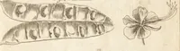An illustration from A new and complete dictionary of arts and sciences : comprehending all the branches of useful knowledge, with accurate descriptions as well of the various machines, instruments, tools, figures, and schemes necessary for illustrating them, as of the classes, kinds, preparations, and uses of natural productions, whether animals, vegetables, minerals, fossils, or fluids : together with the kingdoms, provinces, cities, towns, and other remarkable places throughout the world : illustrated with above three hundred copper-plates, engraved by Mr. Jefferys, geographer to His Majesty : the whole extracted from the best authors in all languages (1763)