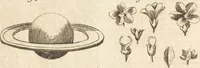 An illustration from A new and complete dictionary of arts and sciences : comprehending all the branches of useful knowledge, with accurate descriptions as well of the various machines, instruments, tools, figures, and schemes necessary for illustrating them, as of the classes, kinds, preparations, and uses of natural productions, whether animals, vegetables, minerals, fossils, or fluids : together with the kingdoms, provinces, cities, towns, and other remarkable places throughout the world : illustrated with above three hundred copper-plates, engraved by Mr. Jefferys, geographer to His Majesty : the whole extracted from the best authors in all languages (1763)
