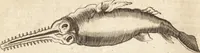 An illustration from A new and complete dictionary of arts and sciences : comprehending all the branches of useful knowledge, with accurate descriptions as well of the various machines, instruments, tools, figures, and schemes necessary for illustrating them, as of the classes, kinds, preparations, and uses of natural productions, whether animals, vegetables, minerals, fossils, or fluids : together with the kingdoms, provinces, cities, towns, and other remarkable places throughout the world : illustrated with above three hundred copper-plates, engraved by Mr. Jefferys, geographer to His Majesty : the whole extracted from the best authors in all languages (1763)