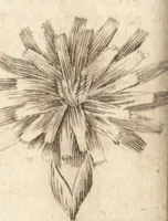 An illustration from A new and complete dictionary of arts and sciences : comprehending all the branches of useful knowledge, with accurate descriptions as well of the various machines, instruments, tools, figures, and schemes necessary for illustrating them, as of the classes, kinds, preparations, and uses of natural productions, whether animals, vegetables, minerals, fossils, or fluids : together with the kingdoms, provinces, cities, towns, and other remarkable places throughout the world : illustrated with above three hundred copper-plates, engraved by Mr. Jefferys, geographer to His Majesty : the whole extracted from the best authors in all languages (1763)