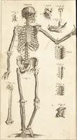 An illustration from A new and complete dictionary of arts and sciences : comprehending all the branches of useful knowledge, with accurate descriptions as well of the various machines, instruments, tools, figures, and schemes necessary for illustrating them, as of the classes, kinds, preparations, and uses of natural productions, whether animals, vegetables, minerals, fossils, or fluids : together with the kingdoms, provinces, cities, towns, and other remarkable places throughout the world : illustrated with above three hundred copper-plates, engraved by Mr. Jefferys, geographer to His Majesty : the whole extracted from the best authors in all languages (1763)
