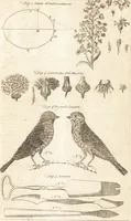 An illustration from A new and complete dictionary of arts and sciences : comprehending all the branches of useful knowledge, with accurate descriptions as well of the various machines, instruments, tools, figures, and schemes necessary for illustrating them, as of the classes, kinds, preparations, and uses of natural productions, whether animals, vegetables, minerals, fossils, or fluids : together with the kingdoms, provinces, cities, towns, and other remarkable places throughout the world : illustrated with above three hundred copper-plates, engraved by Mr. Jefferys, geographer to His Majesty : the whole extracted from the best authors in all languages (1763)