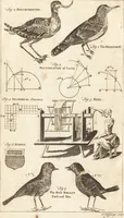 Picture 9 of 116 from A new and complete dictionary of arts and sciences : comprehending all the branches of useful knowledge, with accurate descriptions as well of the various machines, instruments, tools, figures, and schemes necessary for illustrating them, as of the classes, kinds, preparations, and uses of natural productions, whether animals, vegetables, minerals, fossils, or fluids : together with the kingdoms, provinces, cities, towns, and other remarkable places throughout the world : illustrated with above three hundred copper-plates, engraved by Mr. Jefferys, geographer to His Majesty : the whole extracted from the best authors in all languages (1763), leaf 43