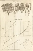 Picture 60 of 116 from A new and complete dictionary of arts and sciences : comprehending all the branches of useful knowledge, with accurate descriptions as well of the various machines, instruments, tools, figures, and schemes necessary for illustrating them, as of the classes, kinds, preparations, and uses of natural productions, whether animals, vegetables, minerals, fossils, or fluids : together with the kingdoms, provinces, cities, towns, and other remarkable places throughout the world : illustrated with above three hundred copper-plates, engraved by Mr. Jefferys, geographer to His Majesty : the whole extracted from the best authors in all languages (1763), leaf 529