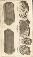An illustration from A new and complete dictionary of arts and sciences : comprehending all the branches of useful knowledge, with accurate descriptions as well of the various machines, instruments, tools, figures, and schemes necessary for illustrating them, as of the classes, kinds, preparations, and uses of natural productions, whether animals, vegetables, minerals, fossils, or fluids : together with the kingdoms, provinces, cities, towns, and other remarkable places throughout the world : illustrated with above three hundred copper-plates, engraved by Mr. Jefferys, geographer to His Majesty : the whole extracted from the best authors in all languages (1763)