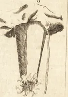 An illustration from A new and complete dictionary of arts and sciences : comprehending all the branches of useful knowledge, with accurate descriptions as well of the various machines, instruments, tools, figures, and schemes necessary for illustrating them, as of the classes, kinds, preparations, and uses of natural productions, whether animals, vegetables, minerals, fossils, or fluids : together with the kingdoms, provinces, cities, towns, and other remarkable places throughout the world : illustrated with above three hundred copper-plates, engraved by Mr. Jefferys, geographer to His Majesty : the whole extracted from the best authors in all languages (1763)