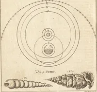 An illustration from A new and complete dictionary of arts and sciences : comprehending all the branches of useful knowledge, with accurate descriptions as well of the various machines, instruments, tools, figures, and schemes necessary for illustrating them, as of the classes, kinds, preparations, and uses of natural productions, whether animals, vegetables, minerals, fossils, or fluids : together with the kingdoms, provinces, cities, towns, and other remarkable places throughout the world : illustrated with above three hundred copper-plates, engraved by Mr. Jefferys, geographer to His Majesty : the whole extracted from the best authors in all languages (1763)