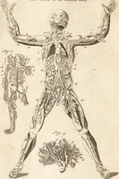 An illustration from A new and complete dictionary of arts and sciences : comprehending all the branches of useful knowledge, with accurate descriptions as well of the various machines, instruments, tools, figures, and schemes necessary for illustrating them, as of the classes, kinds, preparations, and uses of natural productions, whether animals, vegetables, minerals, fossils, or fluids : together with the kingdoms, provinces, cities, towns, and other remarkable places throughout the world : illustrated with above three hundred copper-plates, engraved by Mr. Jefferys, geographer to His Majesty : the whole extracted from the best authors in all languages (1763)