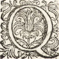 Picture 39 of 247 from Notizie de' professori del disegno da Cimabue in qua : per le quali si dimostra come, e per chi le bell' arti di pittura, scultura, e architettura lasciata la rozzezza delle maniere greca, e gottica, si siano in questi secoli ridotte all' antica loro perfezione (1681), leaf 137
