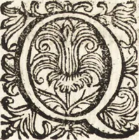 Picture 47 of 247 from Notizie de' professori del disegno da Cimabue in qua : per le quali si dimostra come, e per chi le bell' arti di pittura, scultura, e architettura lasciata la rozzezza delle maniere greca, e gottica, si siano in questi secoli ridotte all' antica loro perfezione (1681), leaf 145