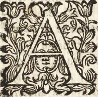 Picture 48 of 247 from Notizie de' professori del disegno da Cimabue in qua : per le quali si dimostra come, e per chi le bell' arti di pittura, scultura, e architettura lasciata la rozzezza delle maniere greca, e gottica, si siano in questi secoli ridotte all' antica loro perfezione (1681), leaf 147