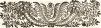 Picture 52 of 247 from Notizie de' professori del disegno da Cimabue in qua : per le quali si dimostra come, e per chi le bell' arti di pittura, scultura, e architettura lasciata la rozzezza delle maniere greca, e gottica, si siano in questi secoli ridotte all' antica loro perfezione (1681), leaf 150