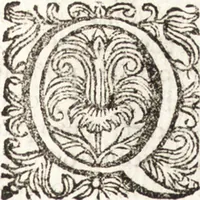 Picture 53 of 247 from Notizie de' professori del disegno da Cimabue in qua : per le quali si dimostra come, e per chi le bell' arti di pittura, scultura, e architettura lasciata la rozzezza delle maniere greca, e gottica, si siano in questi secoli ridotte all' antica loro perfezione (1681), leaf 158