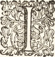 Picture 72 of 247 from Notizie de' professori del disegno da Cimabue in qua : per le quali si dimostra come, e per chi le bell' arti di pittura, scultura, e architettura lasciata la rozzezza delle maniere greca, e gottica, si siano in questi secoli ridotte all' antica loro perfezione (1681), leaf 186