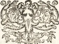 Picture 75 of 247 from Notizie de' professori del disegno da Cimabue in qua : per le quali si dimostra come, e per chi le bell' arti di pittura, scultura, e architettura lasciata la rozzezza delle maniere greca, e gottica, si siano in questi secoli ridotte all' antica loro perfezione (1681), leaf 190
