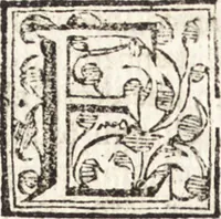 Picture 78 of 247 from Notizie de' professori del disegno da Cimabue in qua : per le quali si dimostra come, e per chi le bell' arti di pittura, scultura, e architettura lasciata la rozzezza delle maniere greca, e gottica, si siano in questi secoli ridotte all' antica loro perfezione (1681), leaf 193