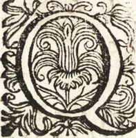 Picture 82 of 247 from Notizie de' professori del disegno da Cimabue in qua : per le quali si dimostra come, e per chi le bell' arti di pittura, scultura, e architettura lasciata la rozzezza delle maniere greca, e gottica, si siano in questi secoli ridotte all' antica loro perfezione (1681), leaf 205