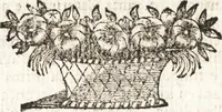 Picture 83 of 247 from Notizie de' professori del disegno da Cimabue in qua : per le quali si dimostra come, e per chi le bell' arti di pittura, scultura, e architettura lasciata la rozzezza delle maniere greca, e gottica, si siano in questi secoli ridotte all' antica loro perfezione (1681), leaf 205