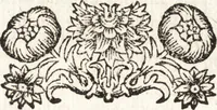Picture 85 of 247 from Notizie de' professori del disegno da Cimabue in qua : per le quali si dimostra come, e per chi le bell' arti di pittura, scultura, e architettura lasciata la rozzezza delle maniere greca, e gottica, si siano in questi secoli ridotte all' antica loro perfezione (1681), leaf 209