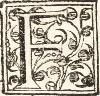 Picture 88 of 247 from Notizie de' professori del disegno da Cimabue in qua : per le quali si dimostra come, e per chi le bell' arti di pittura, scultura, e architettura lasciata la rozzezza delle maniere greca, e gottica, si siano in questi secoli ridotte all' antica loro perfezione (1681), leaf 213