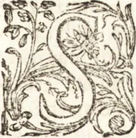 Picture 105 of 247 from Notizie de' professori del disegno da Cimabue in qua : per le quali si dimostra come, e per chi le bell' arti di pittura, scultura, e architettura lasciata la rozzezza delle maniere greca, e gottica, si siano in questi secoli ridotte all' antica loro perfezione (1681), leaf 306