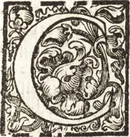 Picture 112 of 247 from Notizie de' professori del disegno da Cimabue in qua : per le quali si dimostra come, e per chi le bell' arti di pittura, scultura, e architettura lasciata la rozzezza delle maniere greca, e gottica, si siano in questi secoli ridotte all' antica loro perfezione (1681), leaf 344