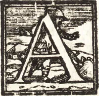 Picture 117 of 247 from Notizie de' professori del disegno da Cimabue in qua : per le quali si dimostra come, e per chi le bell' arti di pittura, scultura, e architettura lasciata la rozzezza delle maniere greca, e gottica, si siano in questi secoli ridotte all' antica loro perfezione (1681), leaf 355