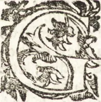 Picture 118 of 247 from Notizie de' professori del disegno da Cimabue in qua : per le quali si dimostra come, e per chi le bell' arti di pittura, scultura, e architettura lasciata la rozzezza delle maniere greca, e gottica, si siano in questi secoli ridotte all' antica loro perfezione (1681), leaf 355