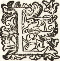 Picture 135 of 247 from Notizie de' professori del disegno da Cimabue in qua : per le quali si dimostra come, e per chi le bell' arti di pittura, scultura, e architettura lasciata la rozzezza delle maniere greca, e gottica, si siano in questi secoli ridotte all' antica loro perfezione (1681), leaf 380