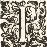 Picture 149 of 247 from Notizie de' professori del disegno da Cimabue in qua : per le quali si dimostra come, e per chi le bell' arti di pittura, scultura, e architettura lasciata la rozzezza delle maniere greca, e gottica, si siano in questi secoli ridotte all' antica loro perfezione (1681), leaf 405