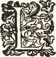 Picture 151 of 247 from Notizie de' professori del disegno da Cimabue in qua : per le quali si dimostra come, e per chi le bell' arti di pittura, scultura, e architettura lasciata la rozzezza delle maniere greca, e gottica, si siano in questi secoli ridotte all' antica loro perfezione (1681), leaf 410