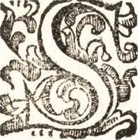 Picture 154 of 247 from Notizie de' professori del disegno da Cimabue in qua : per le quali si dimostra come, e per chi le bell' arti di pittura, scultura, e architettura lasciata la rozzezza delle maniere greca, e gottica, si siano in questi secoli ridotte all' antica loro perfezione (1681), leaf 414