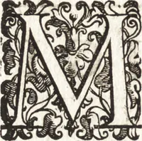 Picture 161 of 247 from Notizie de' professori del disegno da Cimabue in qua : per le quali si dimostra come, e per chi le bell' arti di pittura, scultura, e architettura lasciata la rozzezza delle maniere greca, e gottica, si siano in questi secoli ridotte all' antica loro perfezione (1681), leaf 443