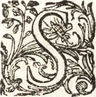 Picture 166 of 247 from Notizie de' professori del disegno da Cimabue in qua : per le quali si dimostra come, e per chi le bell' arti di pittura, scultura, e architettura lasciata la rozzezza delle maniere greca, e gottica, si siano in questi secoli ridotte all' antica loro perfezione (1681), leaf 452