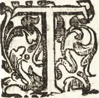 Picture 174 of 247 from Notizie de' professori del disegno da Cimabue in qua : per le quali si dimostra come, e per chi le bell' arti di pittura, scultura, e architettura lasciata la rozzezza delle maniere greca, e gottica, si siano in questi secoli ridotte all' antica loro perfezione (1681), leaf 472