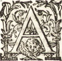 Picture 188 of 247 from Notizie de' professori del disegno da Cimabue in qua : per le quali si dimostra come, e per chi le bell' arti di pittura, scultura, e architettura lasciata la rozzezza delle maniere greca, e gottica, si siano in questi secoli ridotte all' antica loro perfezione (1681), leaf 488