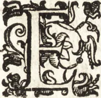 Picture 189 of 247 from Notizie de' professori del disegno da Cimabue in qua : per le quali si dimostra come, e per chi le bell' arti di pittura, scultura, e architettura lasciata la rozzezza delle maniere greca, e gottica, si siano in questi secoli ridotte all' antica loro perfezione (1681), leaf 490