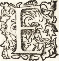 Picture 195 of 247 from Notizie de' professori del disegno da Cimabue in qua : per le quali si dimostra come, e per chi le bell' arti di pittura, scultura, e architettura lasciata la rozzezza delle maniere greca, e gottica, si siano in questi secoli ridotte all' antica loro perfezione (1681), leaf 499