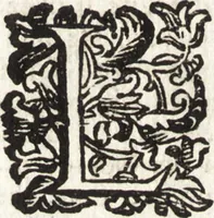 Picture 199 of 247 from Notizie de' professori del disegno da Cimabue in qua : per le quali si dimostra come, e per chi le bell' arti di pittura, scultura, e architettura lasciata la rozzezza delle maniere greca, e gottica, si siano in questi secoli ridotte all' antica loro perfezione (1681), leaf 509