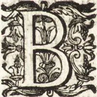 Picture 217 of 247 from Notizie de' professori del disegno da Cimabue in qua : per le quali si dimostra come, e per chi le bell' arti di pittura, scultura, e architettura lasciata la rozzezza delle maniere greca, e gottica, si siano in questi secoli ridotte all' antica loro perfezione (1681), leaf 551