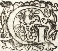 Picture 229 of 247 from Notizie de' professori del disegno da Cimabue in qua : per le quali si dimostra come, e per chi le bell' arti di pittura, scultura, e architettura lasciata la rozzezza delle maniere greca, e gottica, si siano in questi secoli ridotte all' antica loro perfezione (1681), leaf 568
