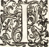Picture 238 of 247 from Notizie de' professori del disegno da Cimabue in qua : per le quali si dimostra come, e per chi le bell' arti di pittura, scultura, e architettura lasciata la rozzezza delle maniere greca, e gottica, si siano in questi secoli ridotte all' antica loro perfezione (1681), leaf 591