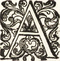 Picture 245 of 247 from Notizie de' professori del disegno da Cimabue in qua : per le quali si dimostra come, e per chi le bell' arti di pittura, scultura, e architettura lasciata la rozzezza delle maniere greca, e gottica, si siano in questi secoli ridotte all' antica loro perfezione (1681), leaf 606
