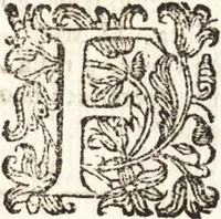 Picture 64 of 145 from Notizie de' professori del disegno da Cimabue in qua : per le quali si dimostra come, e per chi le bell' arti di pittura, scultura, e architettura lasciata la rozzezza delle maniere greca, e gottica, si siano in questi secoli ridotte all' antica loro perfezione (1681), leaf 285
